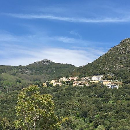 Charmant T2 Hauteurs De Bastia Bastia  Zewnętrze zdjęcie