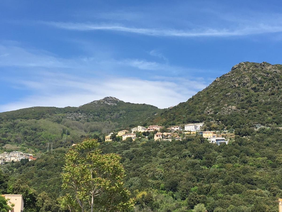 Charmant T2 Hauteurs De Bastia Bastia  Zewnętrze zdjęcie